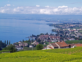 Lausanne